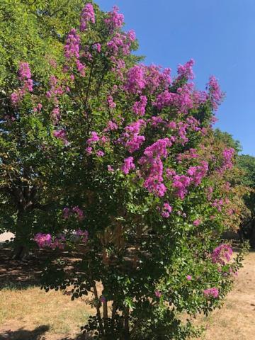 Chateau De Paulignan Trausse エクステリア 写真